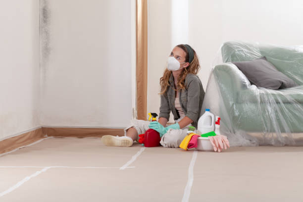Reliable Mold Remediation contractor in Renton, WA by Car Mold Remediation
